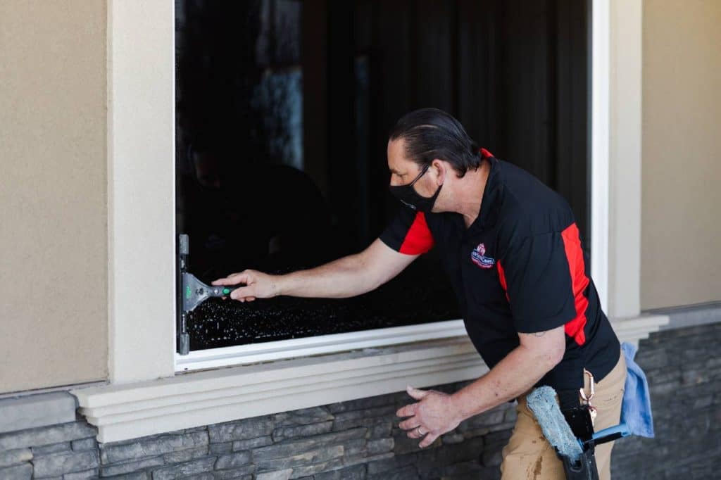 regular professional window cleaning